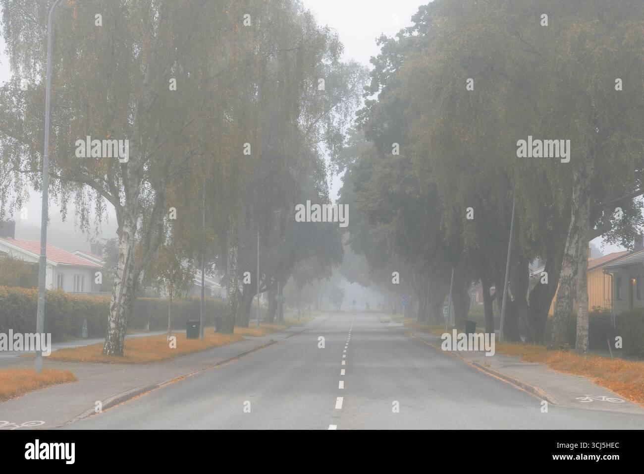 Matin d'automne brumeux suédois dans la banlieue de Stockholm avec des poubelles de recyclage des ordures sur le trottoir Banque D'Images