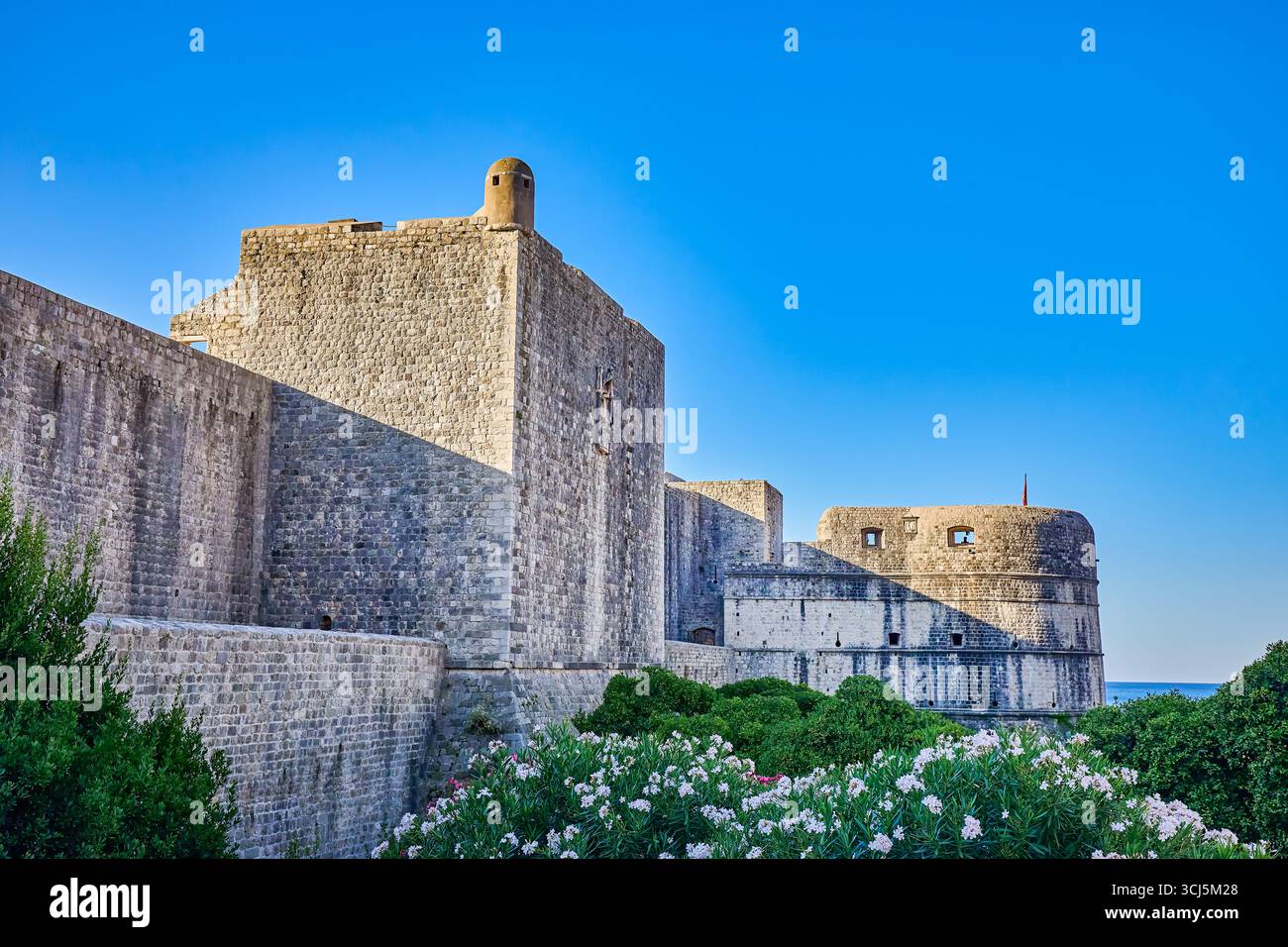 Fort de Minceta et murs de la vieille ville, tour Minceta est le fort situé dans le mur nord se terminant, face à la terre, Dubrovnik, Croatie, Europe Banque D'Images Fort de Minceta et murs de la vieille ville, tour Minceta est le fort situé dans le mur nord se terminant, face à la terre, Dubrovnik, Croatie, Europe Banque D'Images