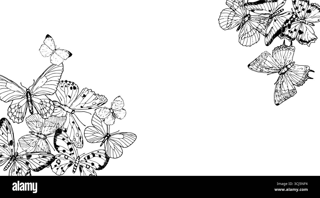 Papillons gracieux avec de belles ailes sur une carte de voeux. Illustration vectorielle. Le dessin est dans un style simple, isolé sur un fond blanc. F Illustration de Vecteur