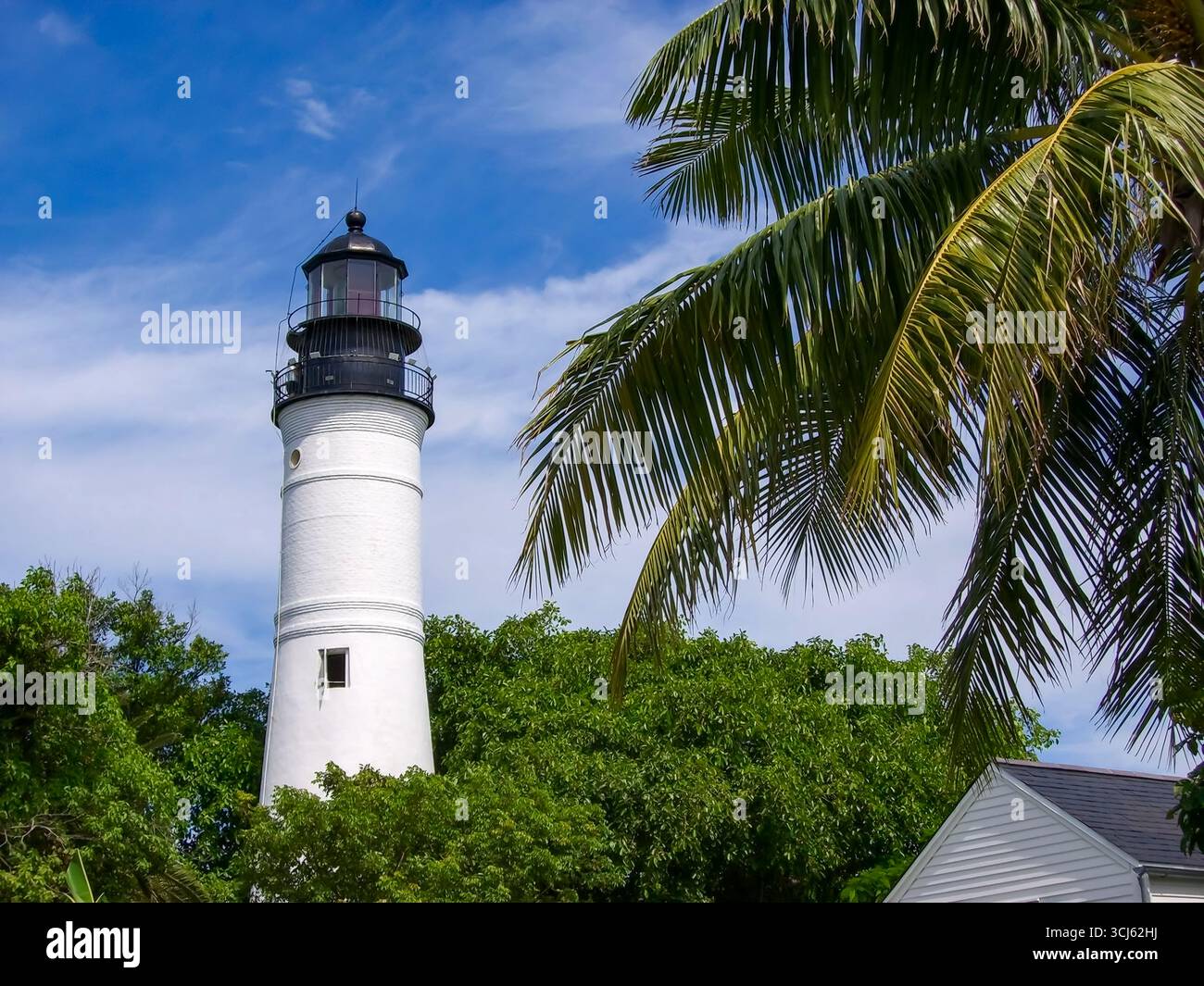 Phare blanc historique entouré de palmiers tropicaux et d'un ciel bleu à Key West, en Floride. Banque D'Images