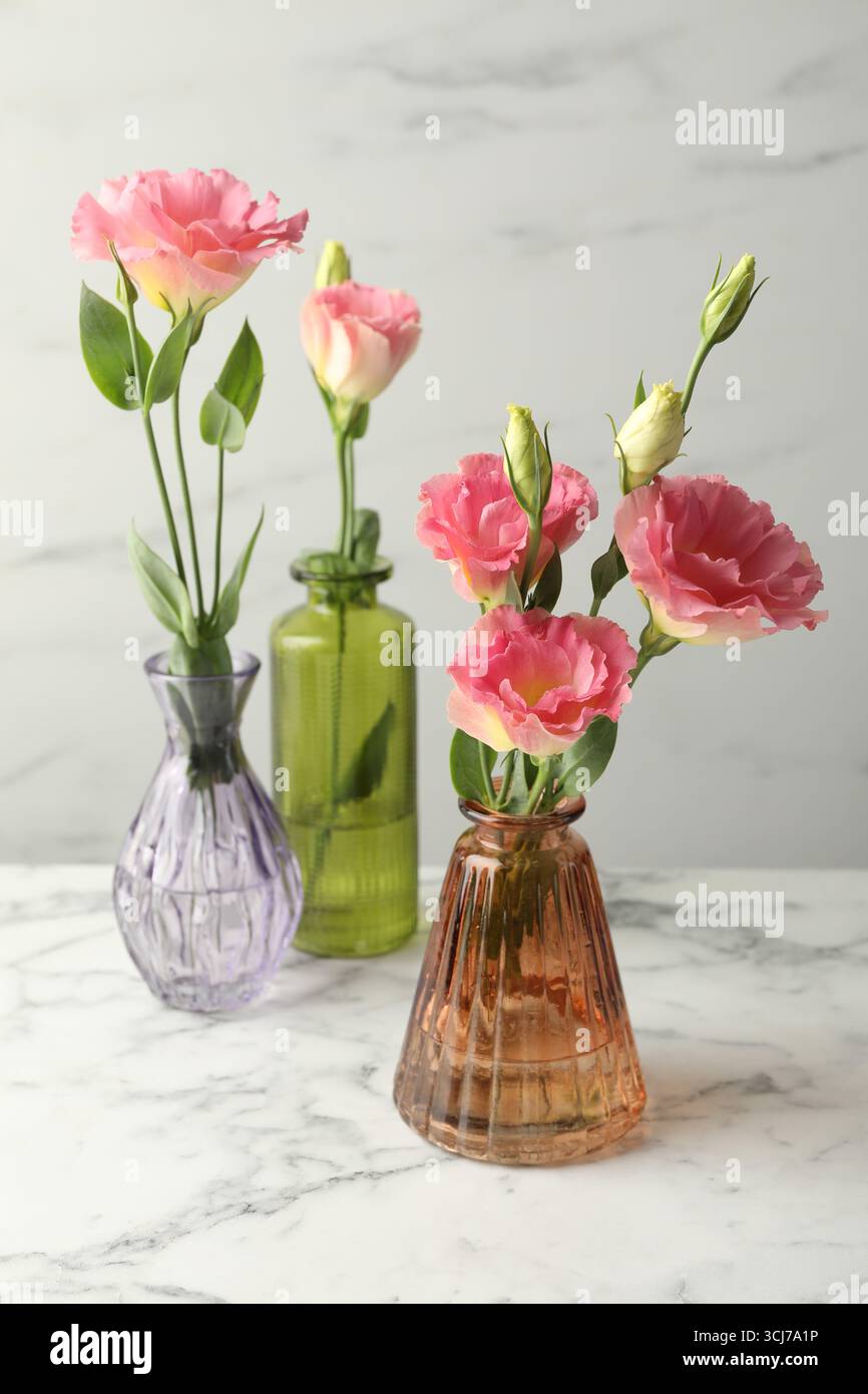 Belles fleurs d'eustoma dans des vases en verre sur une table en marbre blanc Banque D'Images