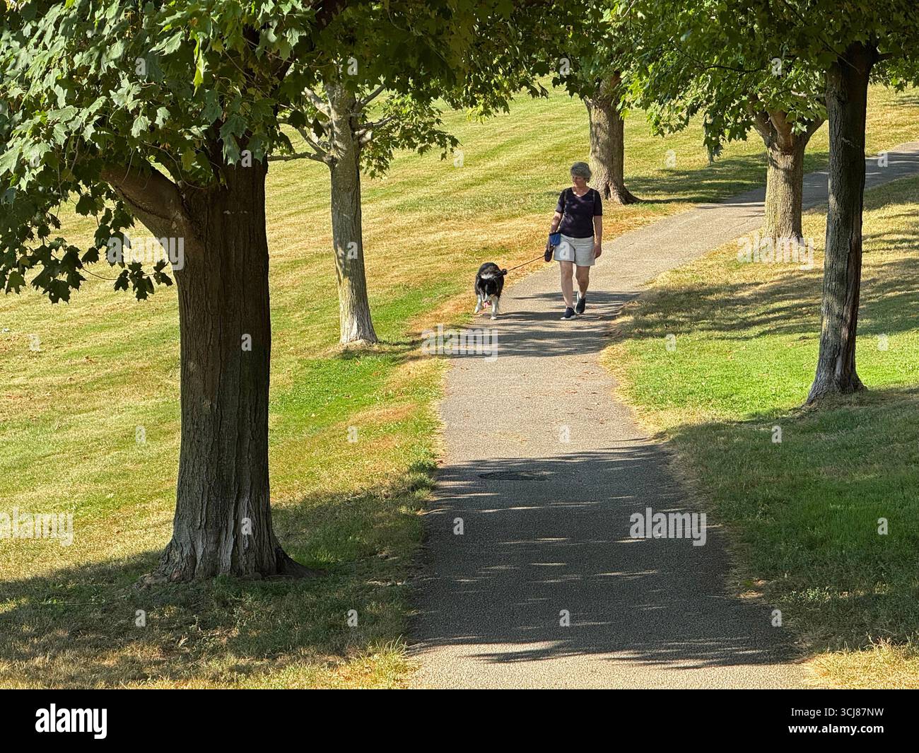 Une femme emmenant son chien se promener dans le parc de Saint Albans, Vermont. Banque D'Images