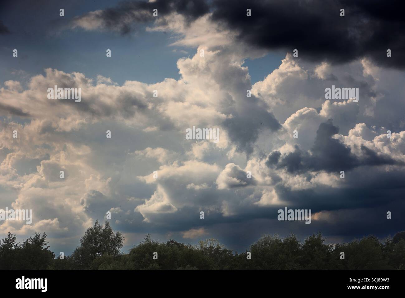 Bevorstehende schwere Gewitter Aufzug eines Gewitters mit mächtigen Quellwolken aus westlichen Richtungen auf das Ruhrgebiet BEI laufender Unwetterwarnung. *** Orages violents imminents soulèvement d'un orage avec de puissants nuages cumulus de l'ouest vers la région de la Ruhr avec une alerte de temps violent en cours Banque D'Images Bevorstehende schwere Gewitter Aufzug eines Gewitters mit mächtigen Quellwolken aus westlichen Richtungen auf das Ruhrgebiet BEI laufender Unwetterwarnung. *** Orages violents imminents soulèvement d'un orage avec de puissants nuages cumulus de l'ouest vers la région de la Ruhr avec une alerte de temps violent en cours Banque D'Images