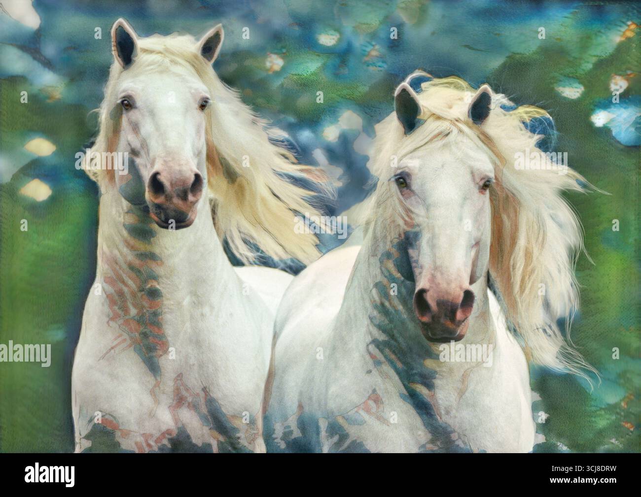 Art photo digtal stylisé de deux chevaux de trait blancs américains courant la tête dessus Banque D'Images