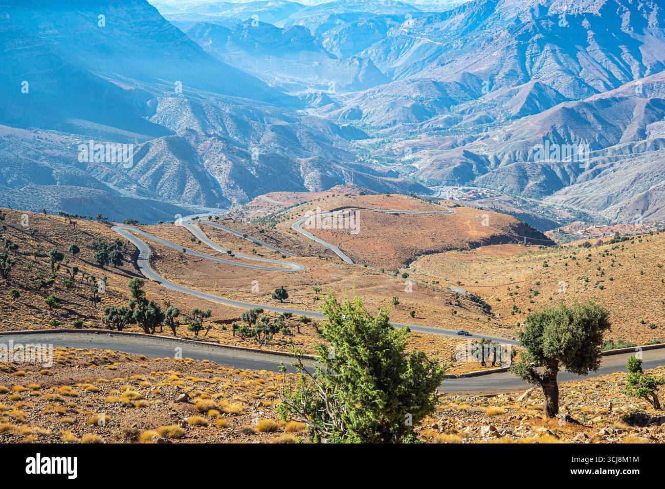 Atlas montagnes Maroc paysage avec vallées sèches collines rocheuses et arbres verts éparpillés sous ciel bleu clair créant une vaste vue sur les montagnes du désert Banque D'Images