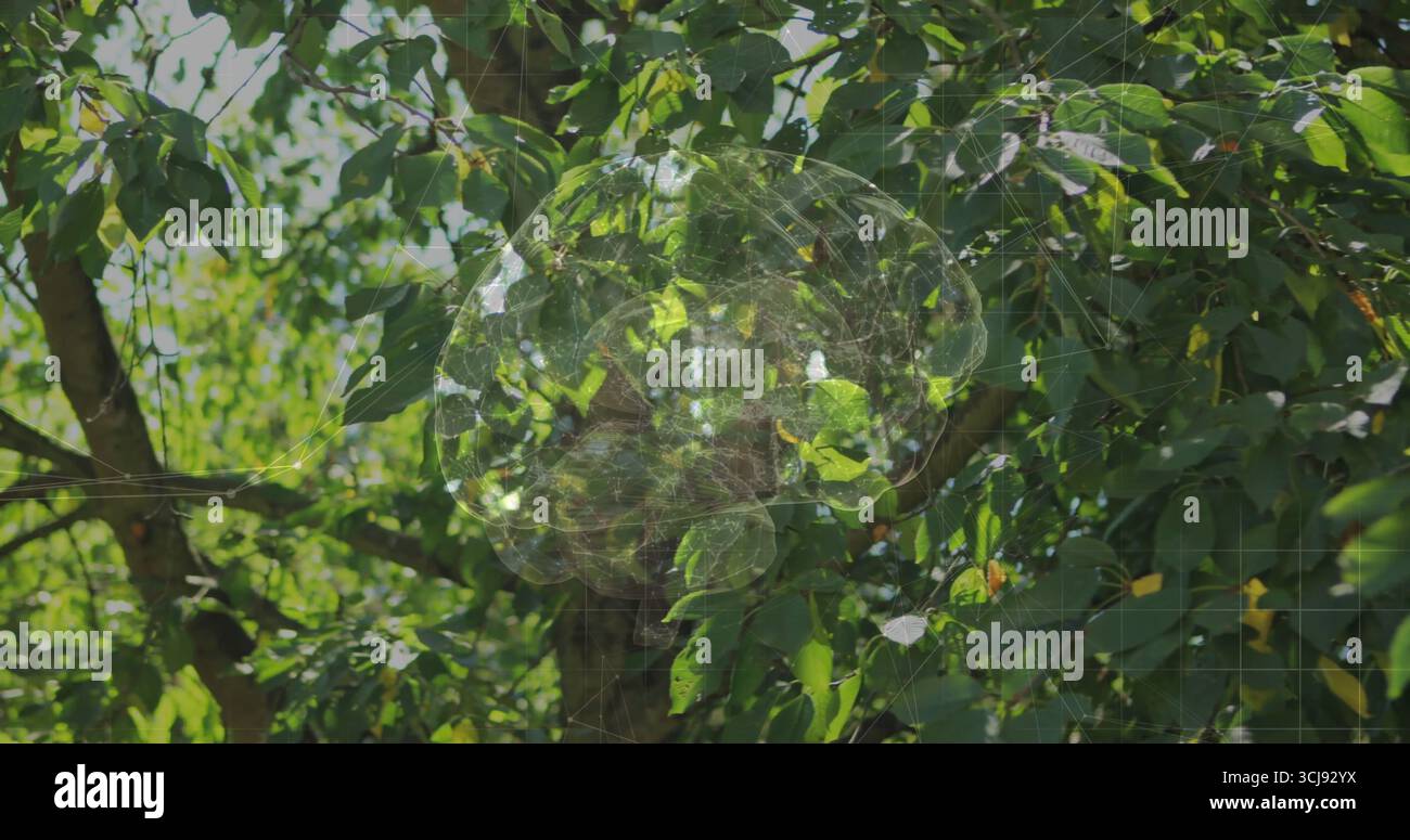 Affichage du réseau cérébral numérique brillant sur le tronc d'arbre, feuillage vert dans la forêt avec superposition de grille Banque D'Images