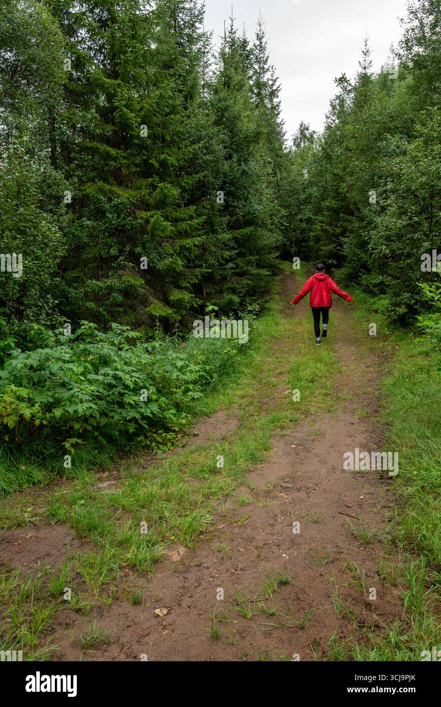 Personne portant une veste rouge marche le long d'un chemin de terre entouré de grands arbres et de feuillage dense dans une forêt, exploration et aventure Banque D'Images