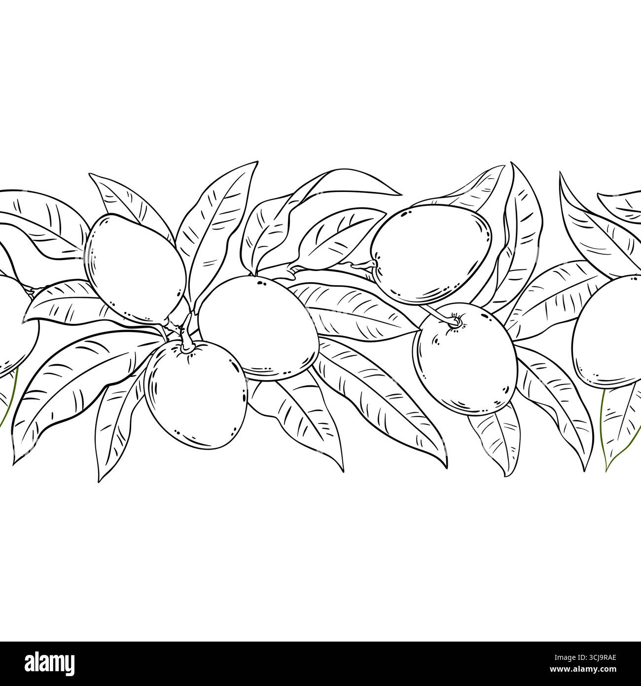 Motif horizontal sans couture Mango Outline. Illustration de Vecteur