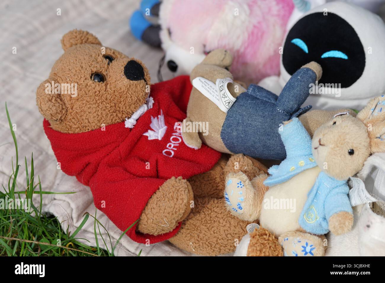 Assortiment de jouets mignons en peluche couchés ensemble sur une couverture de pique-nique. Faygate, Horsham, Angleterre Banque D'Images