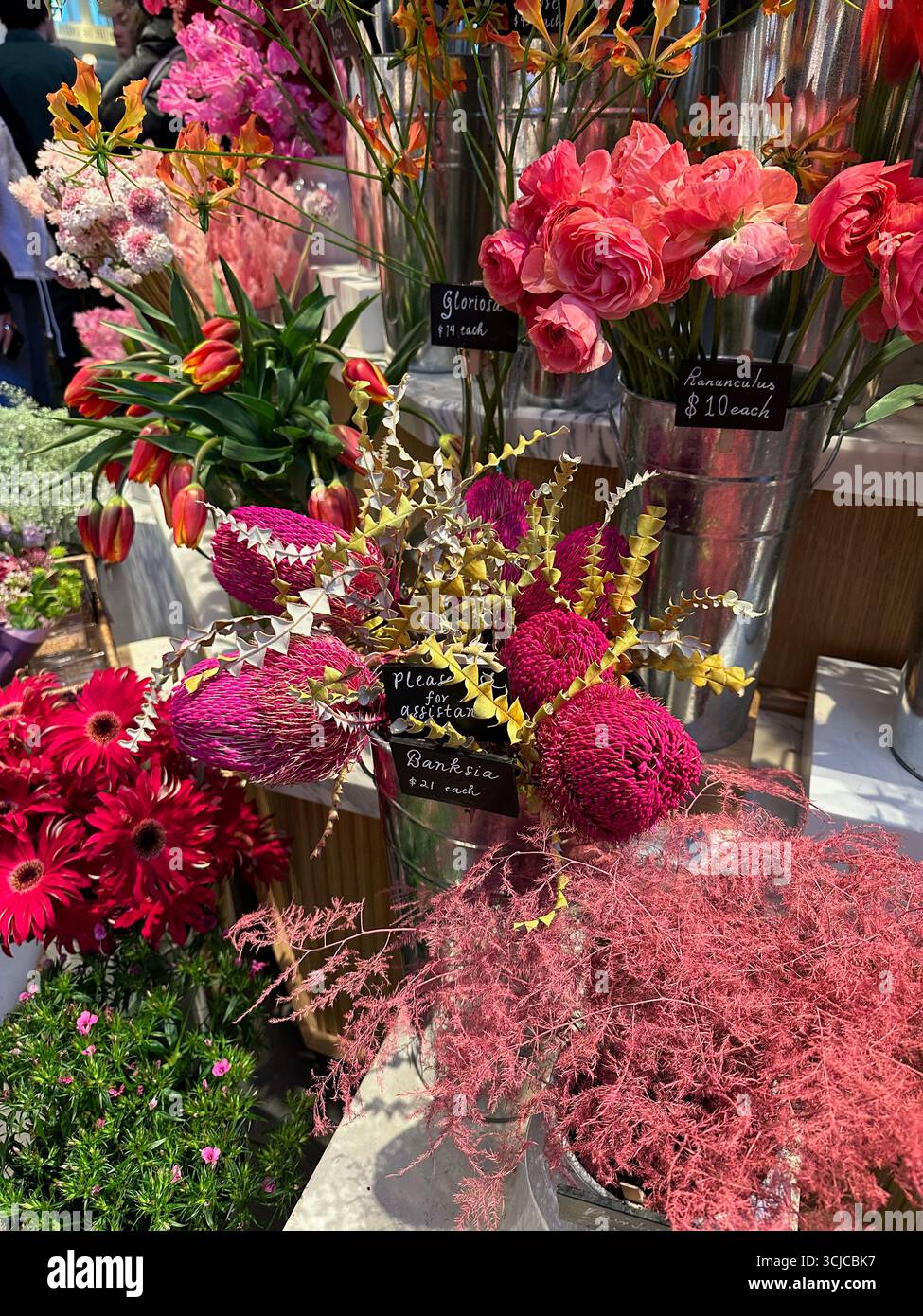 Fleurs roses - Image de stock capturée avec un smartphone