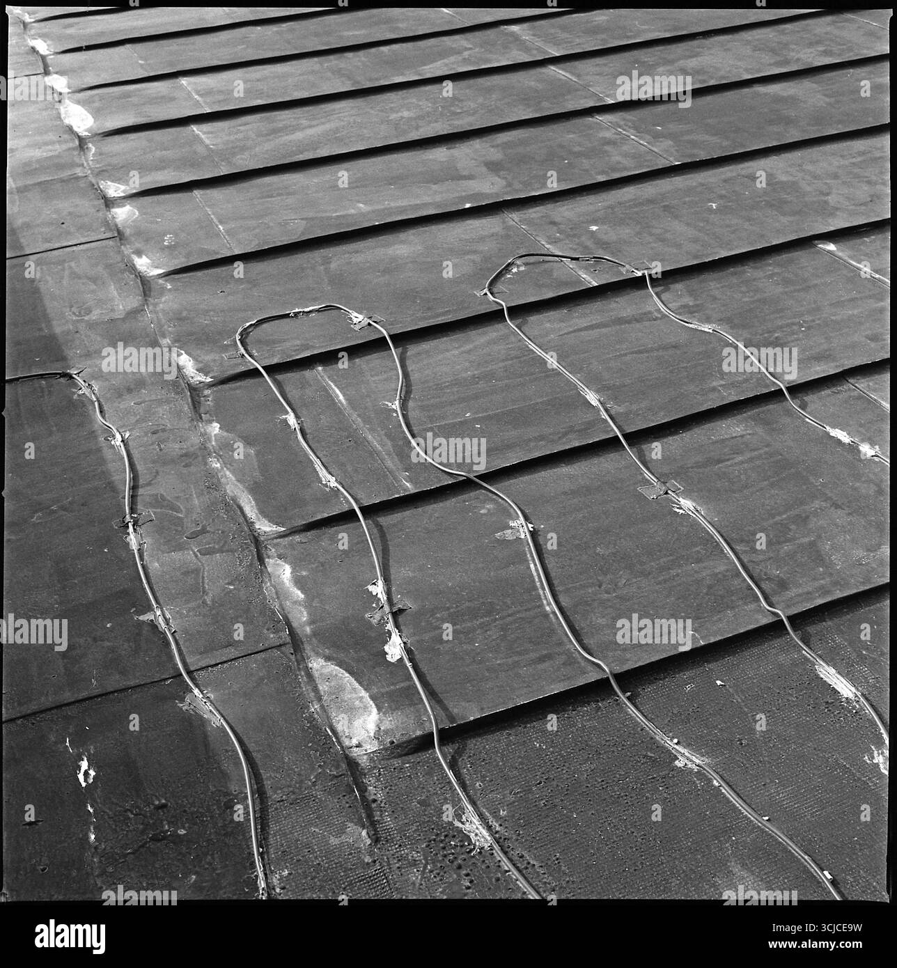 Analog Archive documentaire photo Dairy Banque D'Images