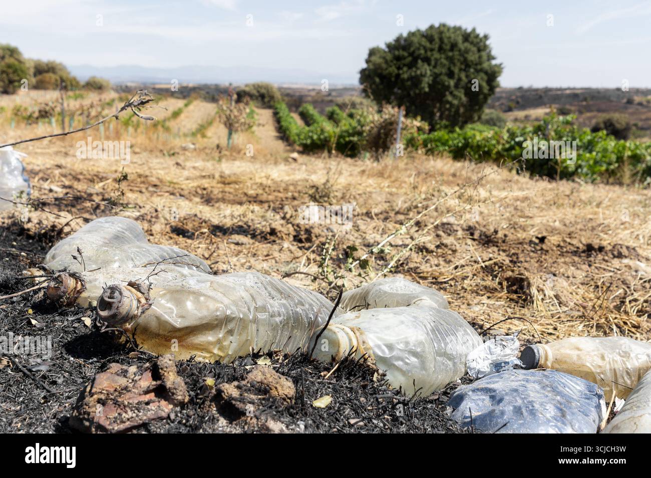 Paysage carbonisé à Castilla la Mancha montre les séquelles d'un feu de forêt. Les débris plastiques et la terre brûlée soulignent l’impact dévastateur de l’environnement Banque D'Images