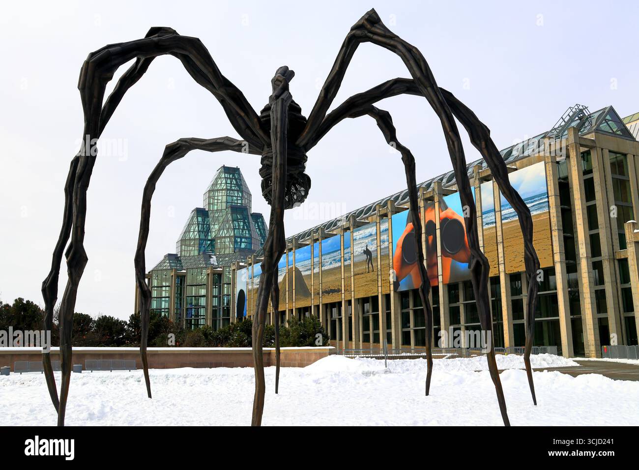 Ottawa, Canada, Musée Bytown, sculpture Maman Spider Banque D'Images