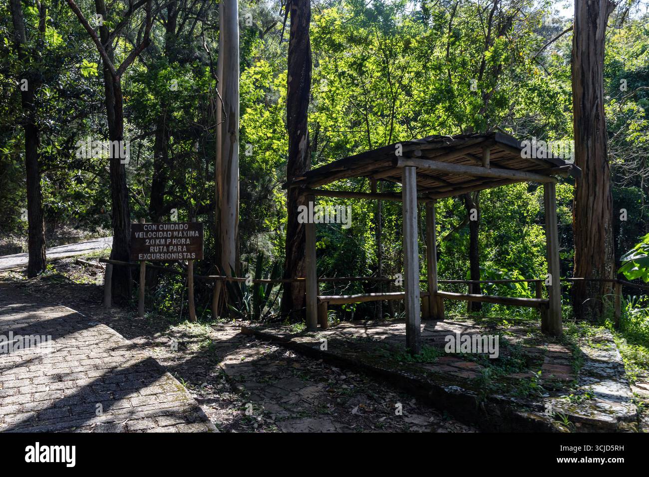 Sentiers de randonnée et de loisirs dans le poumon vert de la ville. Randonnées dans le parc national Waraira Repano. Voyage à travers Caracas, Venezuela, Cerro el Áv Banque D'Images