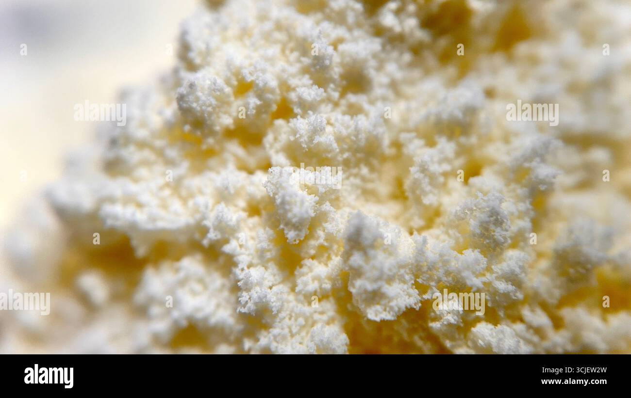 Une vue rapprochée de la poudre fine de lait blanc, montrant sa texture granuleuse lisse, sa surface molle et sa forme en poudre, souvent utilisée dans la cuisson, les boissons et le da Banque D'Images