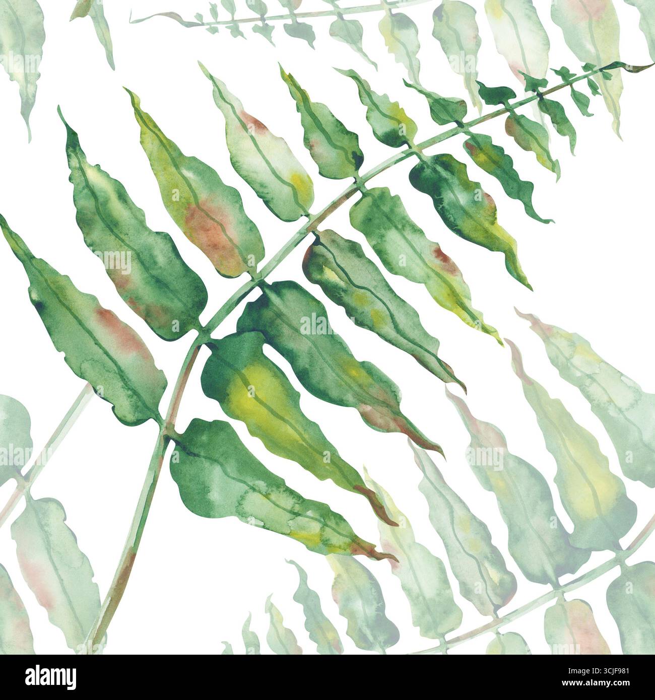 Motif sans couture aquarelle avec fougère verte dessinée à la main. Illustration d'une plante forestière isolée sur un fond blanc. Pour les thèmes forestiers, emballage Banque D'Images