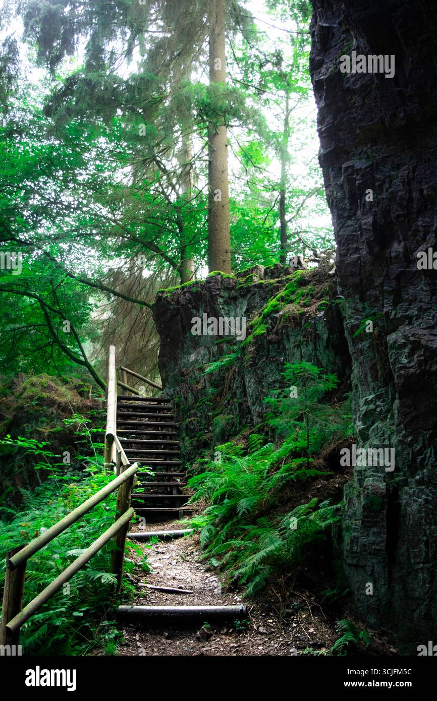 Une photo insensée d'un sentier de randonnée enchanteur dans une forêt profonde, avec des escaliers en bois rustiques montant une falaise accidentée couverte de mousse. Banque D'Images