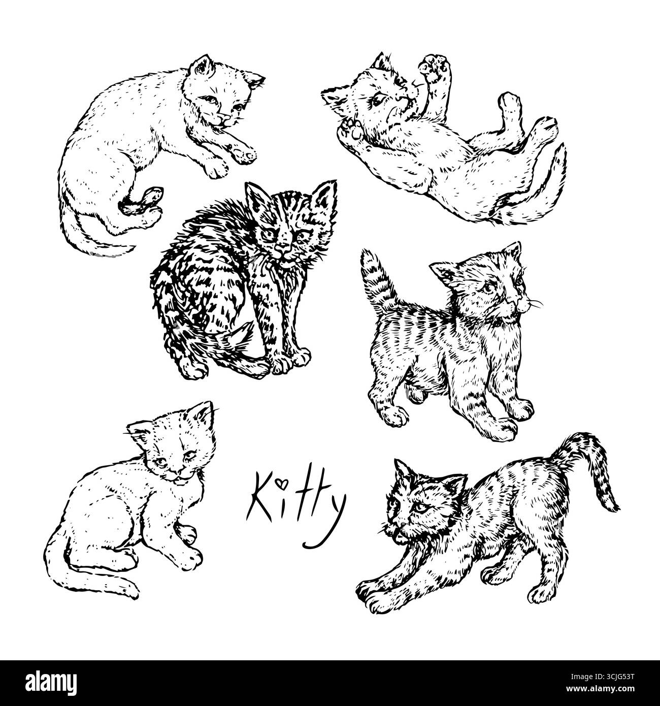 Chat (Kitty) petit ensemble de collection mignon, dessin à l'encre noire doodle, vecteur de gravure sur bois Banque D'Images Chat (Kitty) petit ensemble de collection mignon, dessin à l'encre noire doodle, vecteur de gravure sur bois Banque D'Images