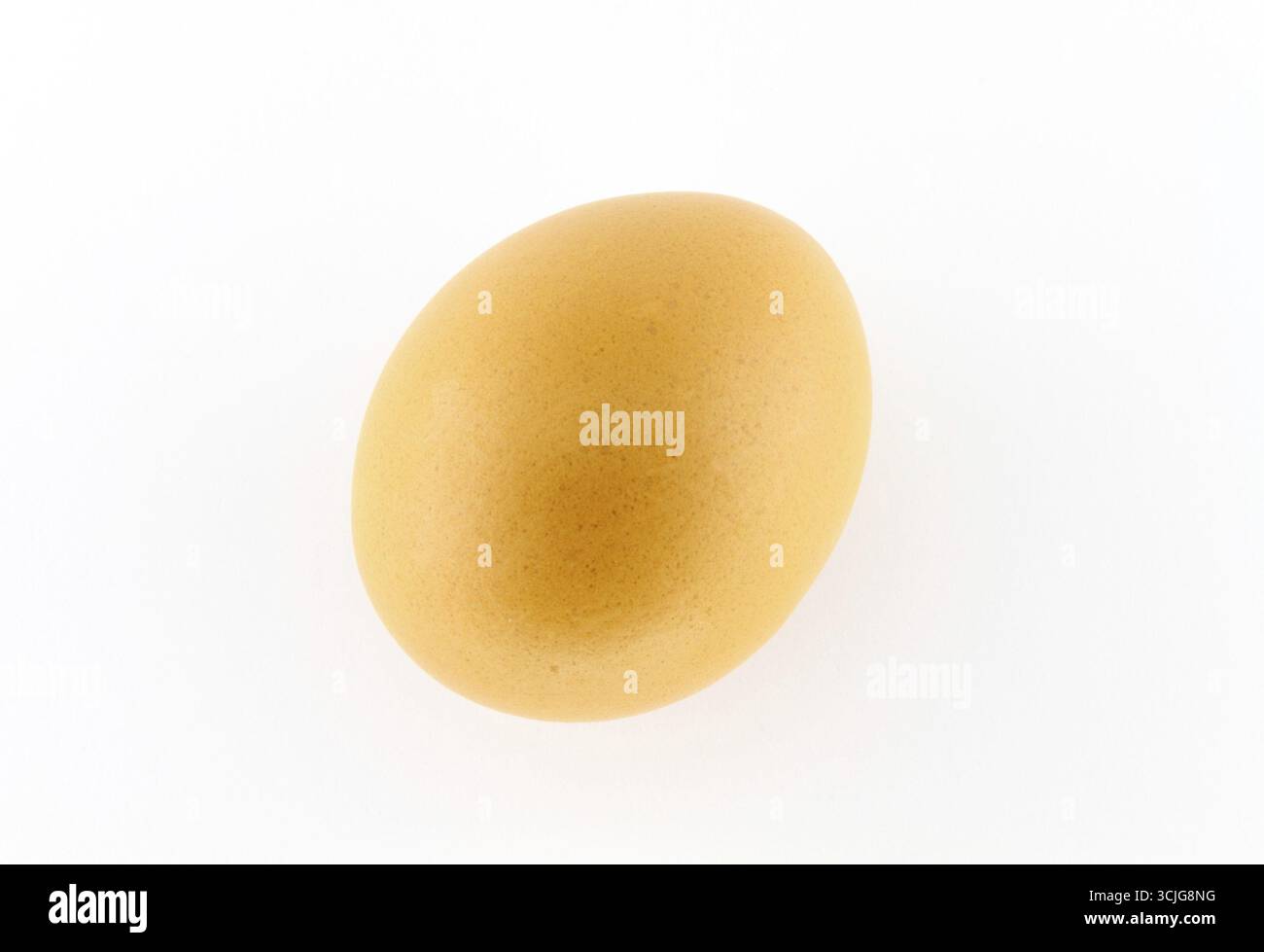 Oeuf brun biologique sur fond blanc Banque D'Images