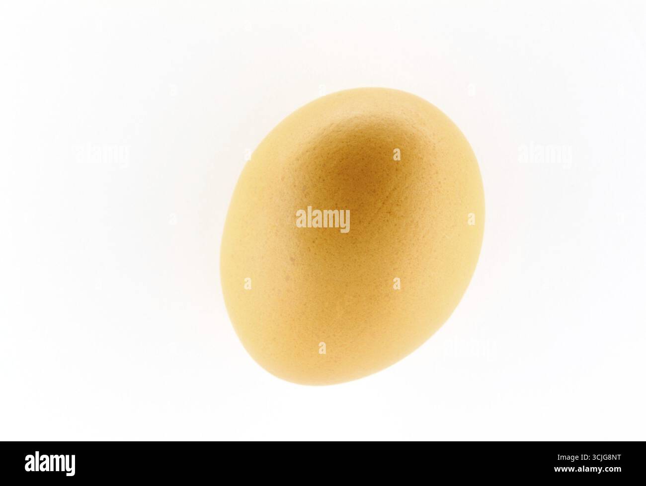 Oeuf brun biologique sur fond blanc Banque D'Images