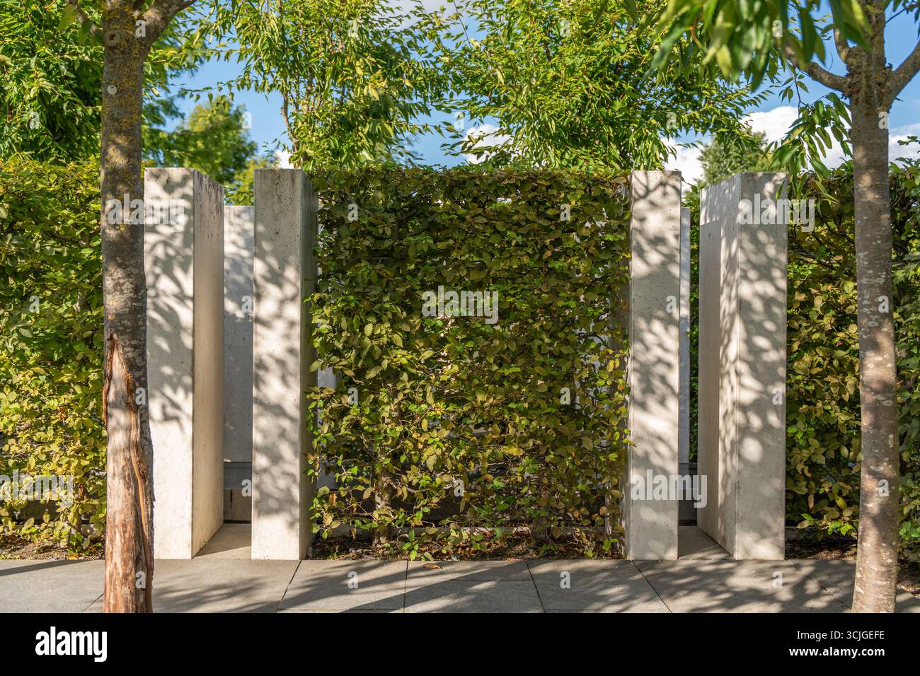 Les murs en béton et les haies luxuriantes forment une structure extérieure verte. La lumière et l'ombre jouent à travers les feuilles. Banque D'Images
