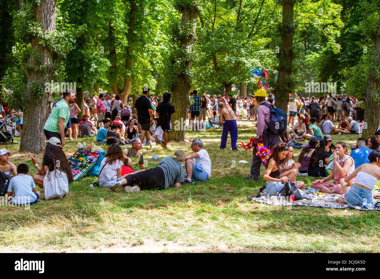Les gens apprécient la fête et pique-nique dans le parc et l'espace vert autour de la ville espagnole de Burgos Espagne Banque D'Images