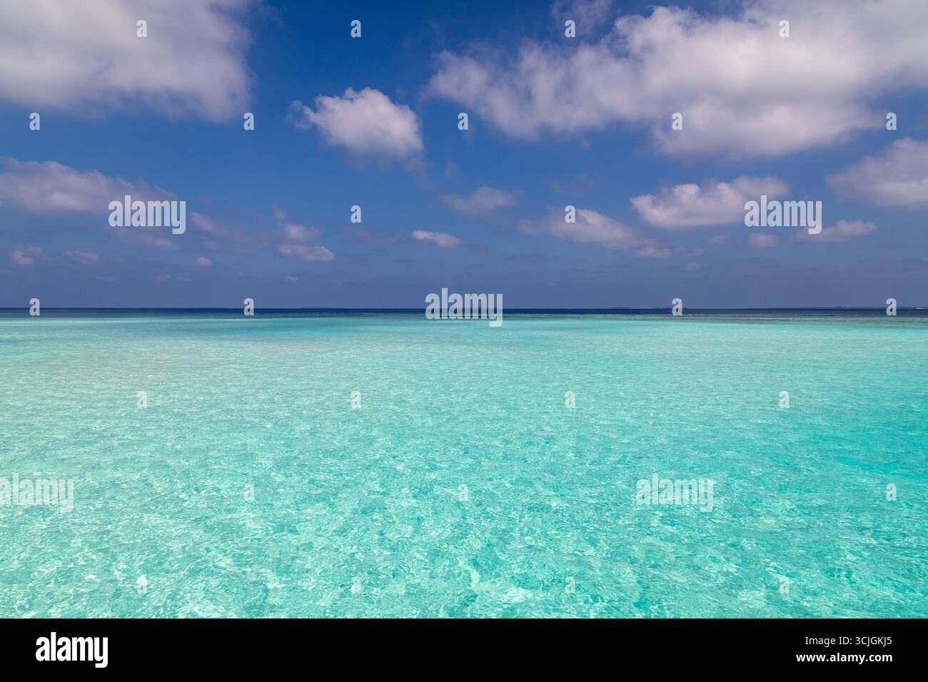 Mer turquoise peu profonde et ciel bleu profond, cadre tropical. Photo prise aux Maldives Banque D'Images