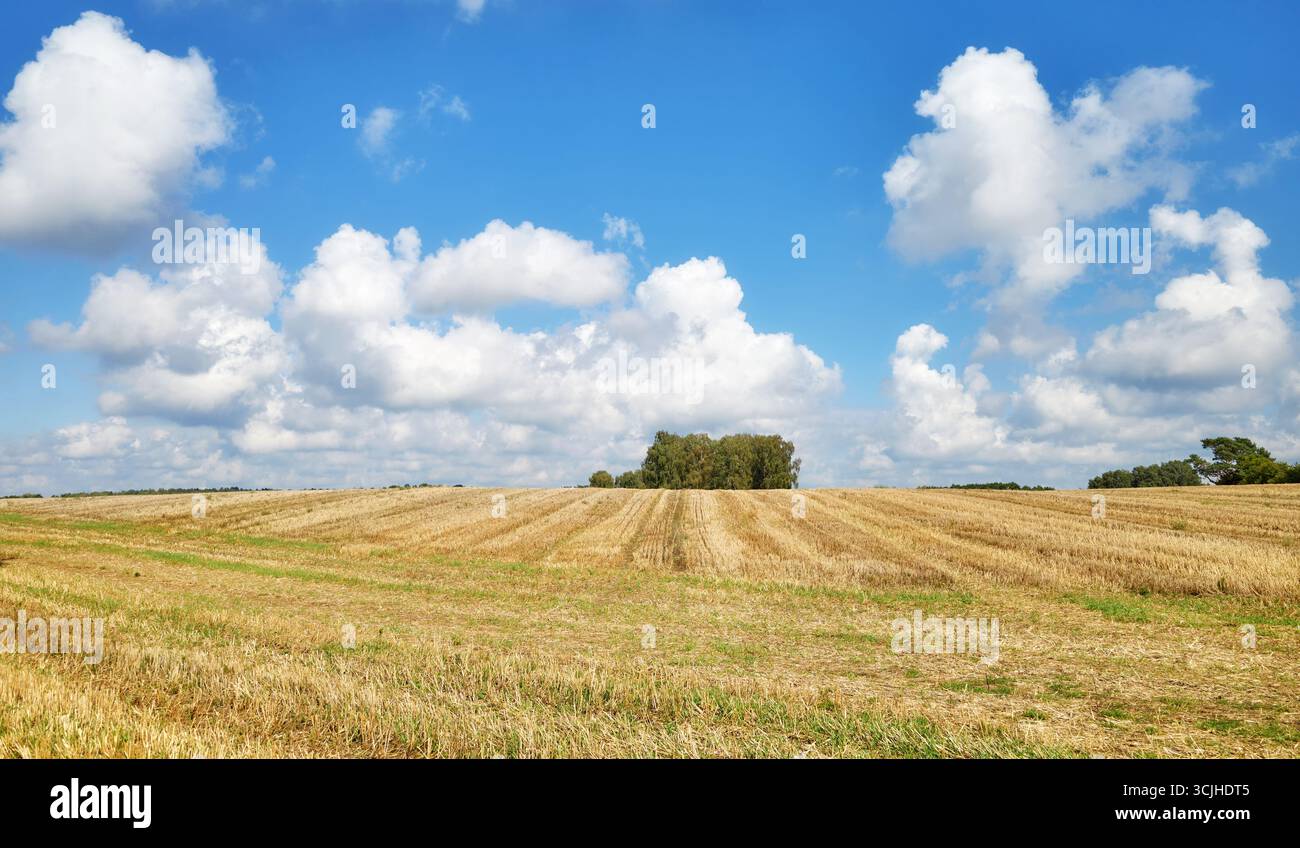Paysage rural avec paysage nuageux scénique, Pologne. Banque D'Images
