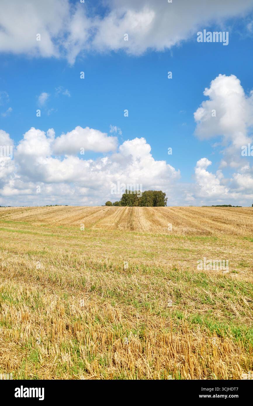 Paysage rural avec paysage nuageux scénique, Pologne. Banque D'Images