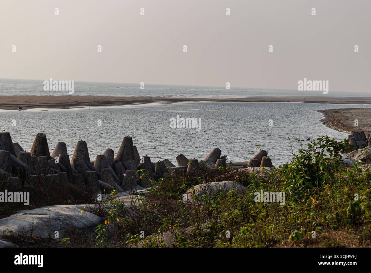 Robustes brise-vagues tétrapodes gris bordant la côte, protégeant les rives sablonneuses des dommages causés par l'érosion Banque D'Images