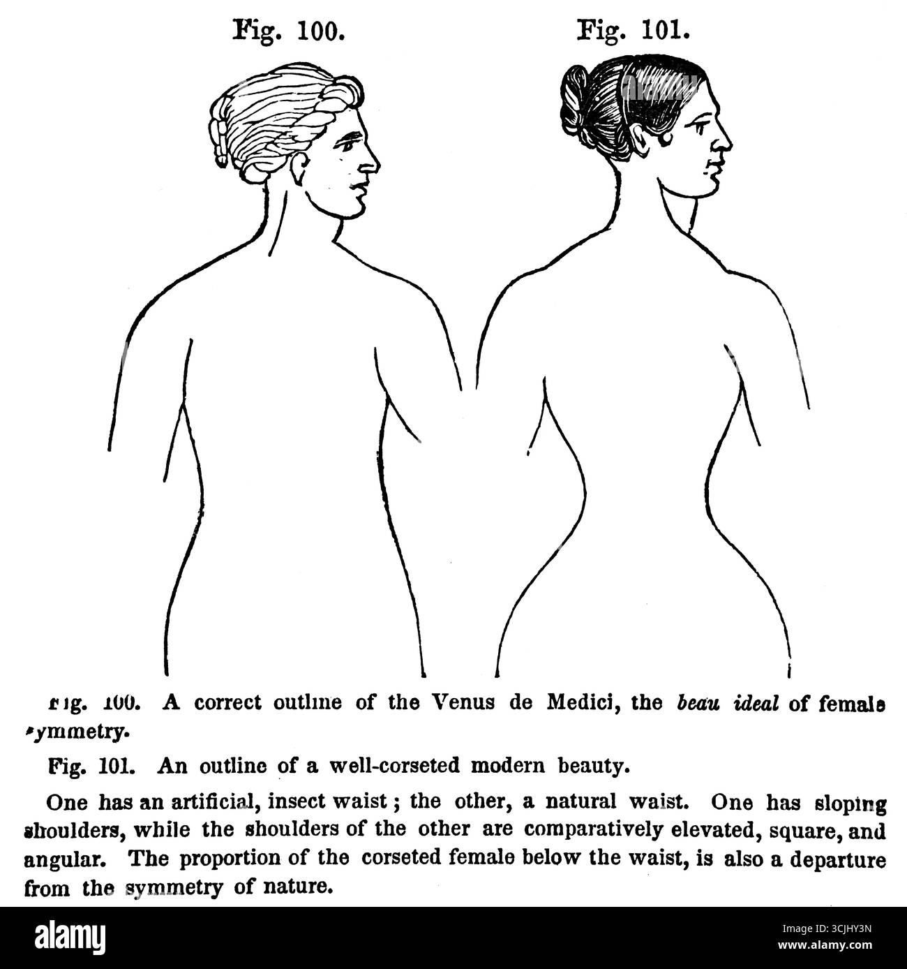 Anatomie, forme d'un corps, contour correct de la Vénus de Médicis et contour d'une beauté moderne bien corseté, illustration historique 1858 Banque D'Images Anatomie, forme d'un corps, contour correct de la Vénus de Médicis et contour d'une beauté moderne bien corseté, illustration historique 1858 Banque D'Images