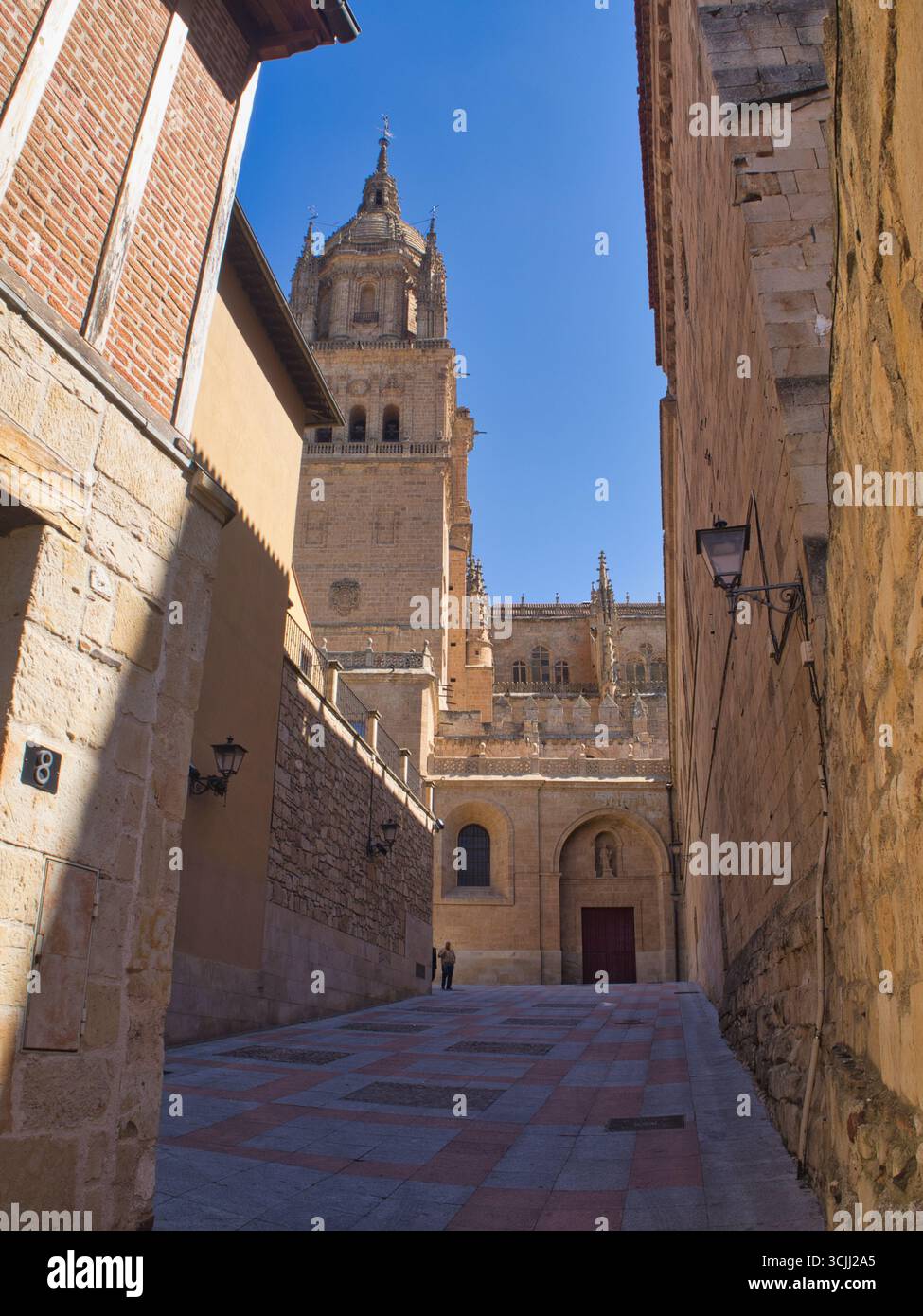 Rue Salamanque avec dôme de la cathédrale : une rue étroite et ensoleillée dans la vieille ville de Salamanque avec vue sur le dôme de la nouvelle cathédrale à la fin. Banque D'Images