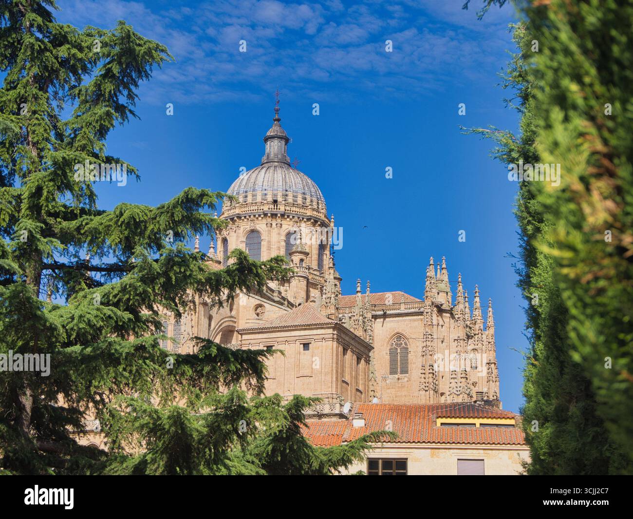 Cathédrale de Salamanque dômes contre ciel bleu : une vue rapprochée des dômes et des tours de la nouvelle cathédrale de Salamanque encadrés par des arbres verts contre un vi Banque D'Images