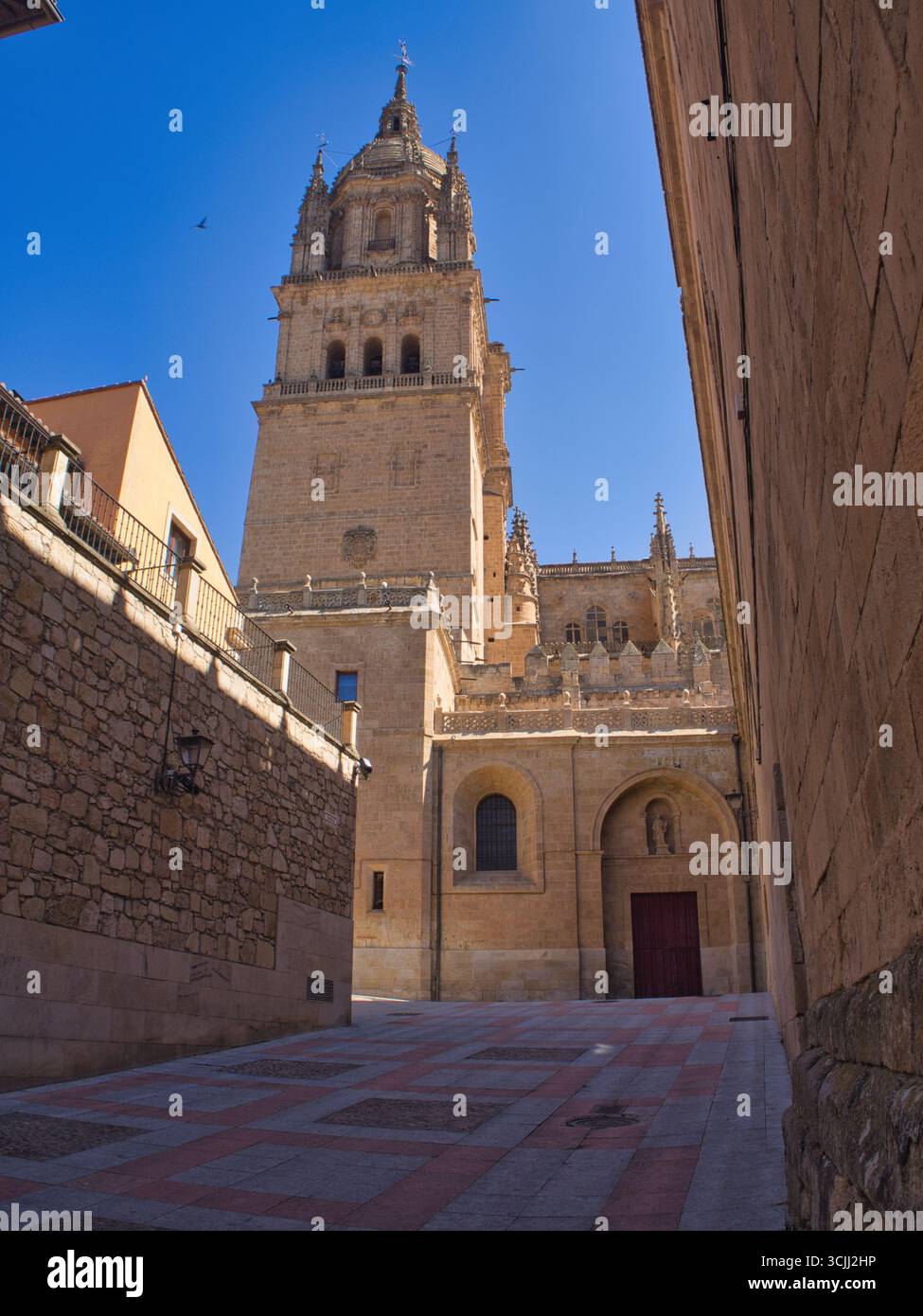 Rue Salamanque avec dôme de la cathédrale : une rue étroite et ensoleillée dans la vieille ville de Salamanque avec vue sur le dôme de la nouvelle cathédrale à la fin. Banque D'Images