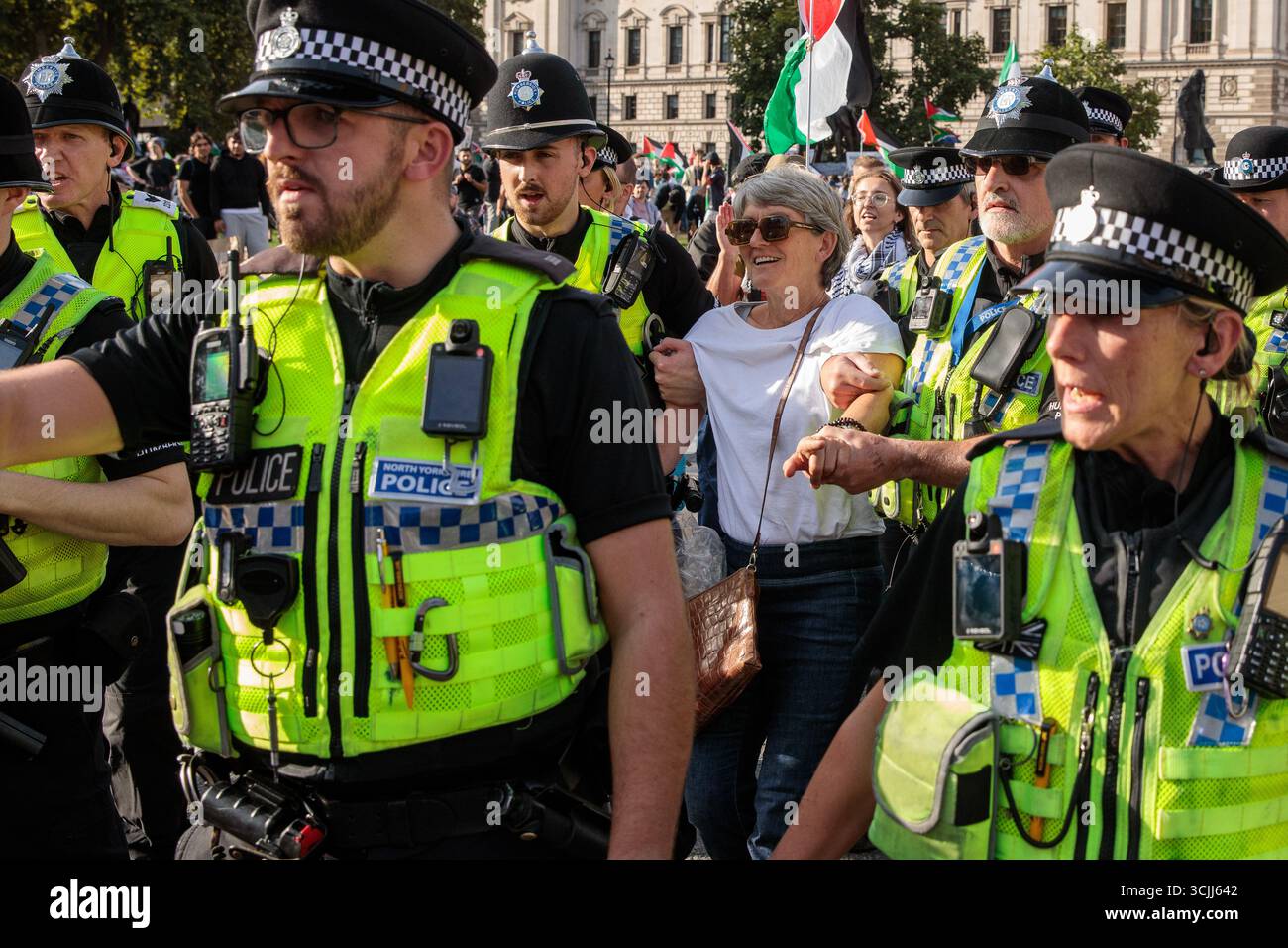 Londres, Royaume-Uni. 6 septembre 2025. Les policiers du North Yorkshire arrêtent un manifestant lors d'un événement de désobéissance civile de masse sur la place du Parlement organisé par Defend Our Juries dans le cadre d'une campagne contre l'interdiction du groupe d'action directe Palestine action. Environ 1 500 personnes ont assisté à l'événement et la police métropolitaine, assistée de plusieurs autres forces de police, a procédé à 890 arrestations dont 857 pour avoir tenu des pancartes en faveur de Palestine action. Crédit : Mark Kerrison/Alamy Live News Banque D'Images