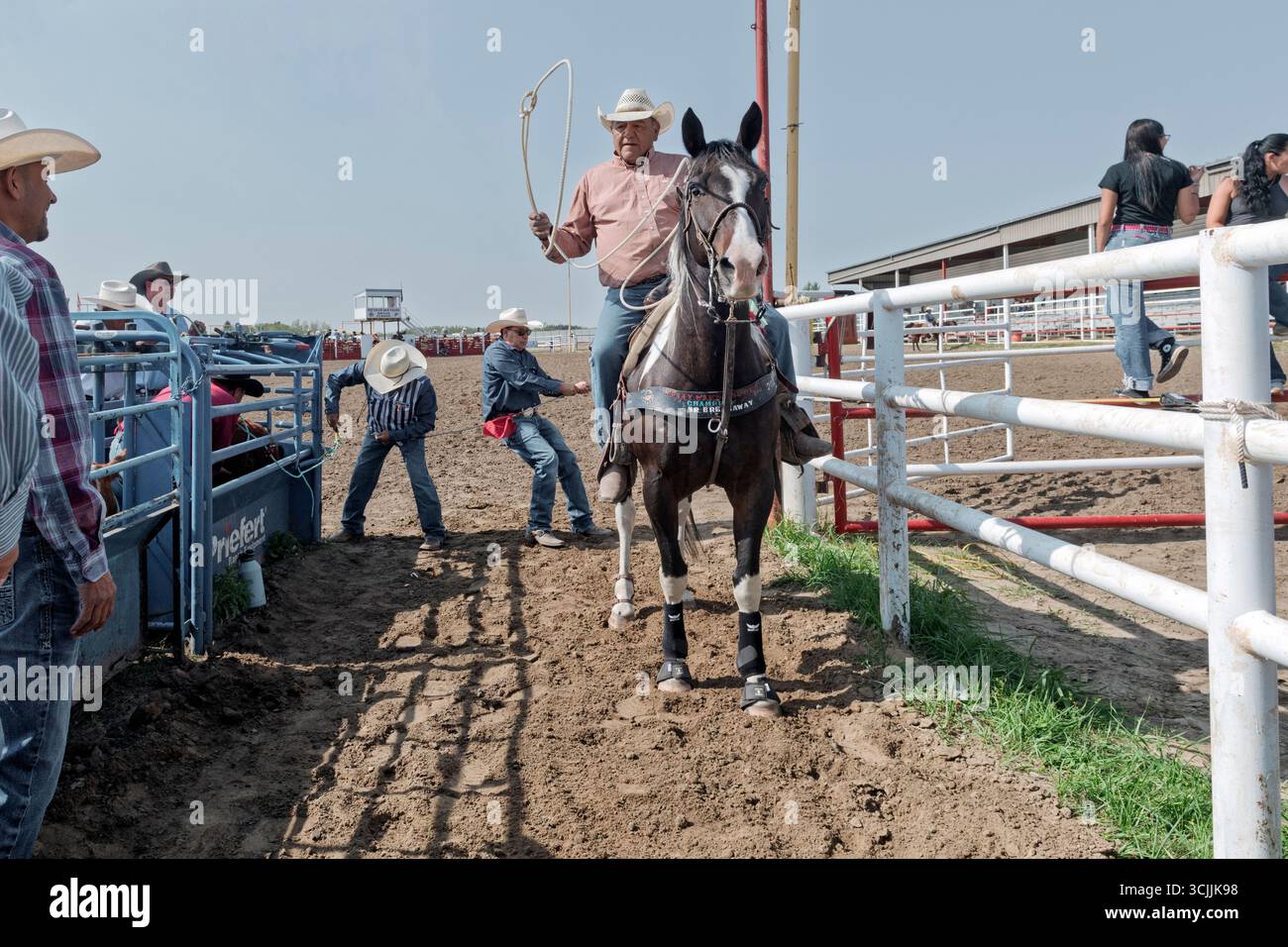 Un cow-boy à cheval avec un lariat entre dans la boîte de ropers lors du Maskwacis Indian Rodeo Alberta Canada Banque D'Images