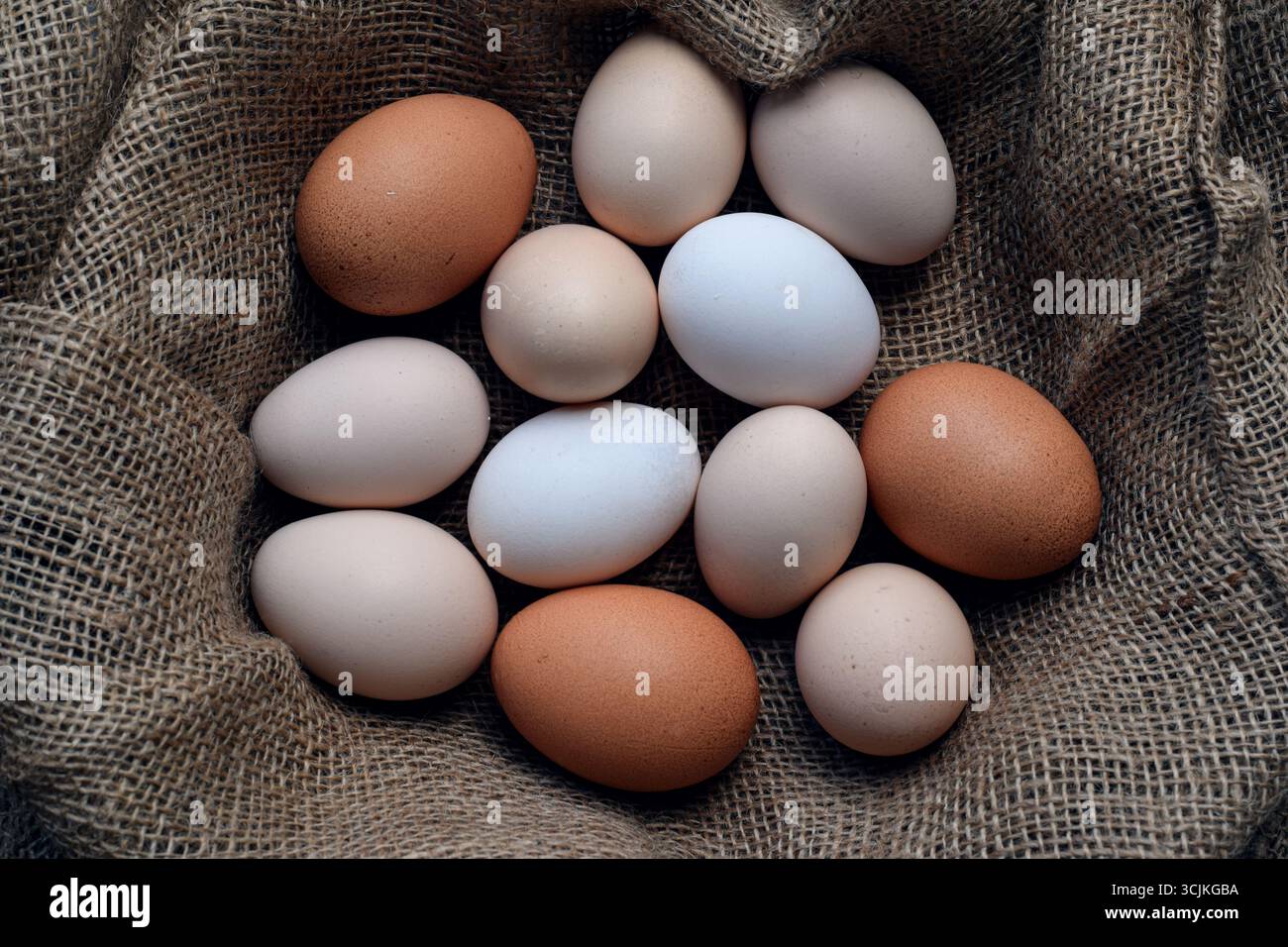 Vue de haut en bas d'œufs de poule assortis de différentes tailles et couleurs disposées sur un tissu rustique en toile de jute. Ferme naturelle nourriture fraîche et protéine organique con Banque D'Images