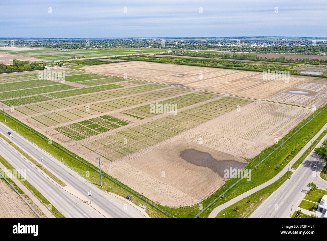 Vue aérienne de l'Université de la Saskatchewan à Saskatoon. 23 juin 2020 Banque D'Images