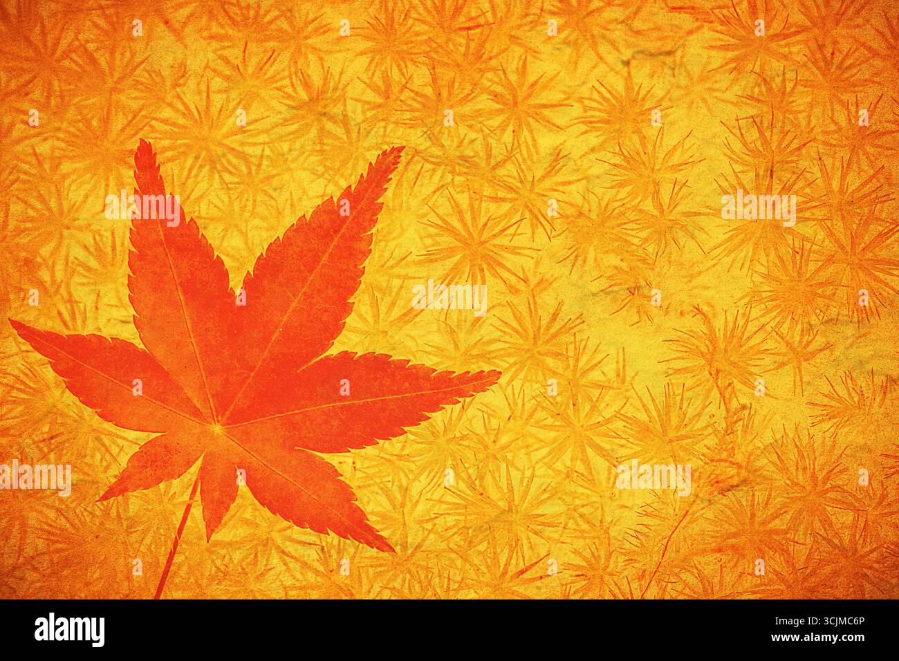 Feuilles d'automne sur fond vintage. Texture d'automne grunge parfaite. Banque D'Images