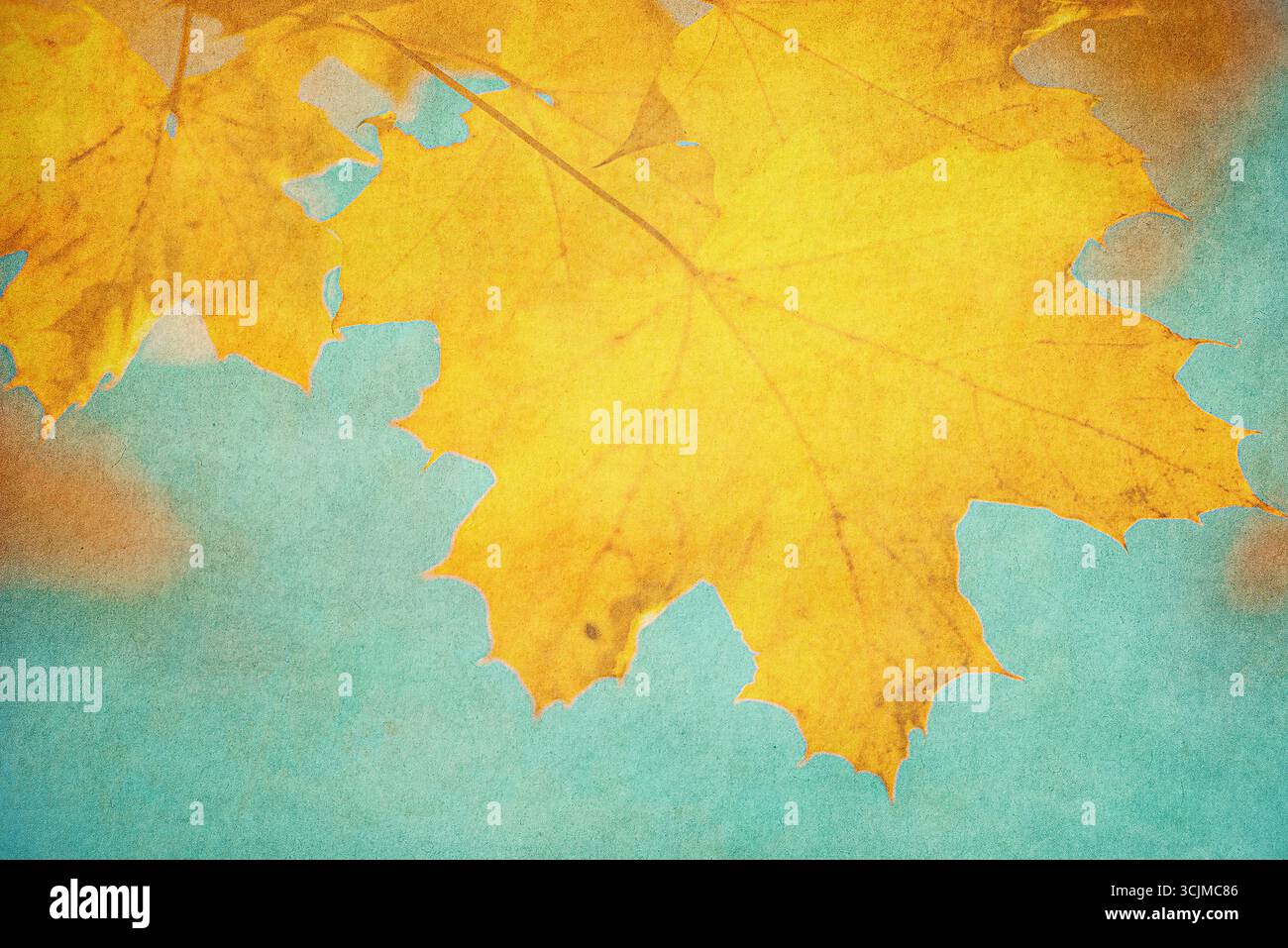 Feuilles d'automne sur fond vintage. Texture d'automne grunge parfaite. Banque D'Images