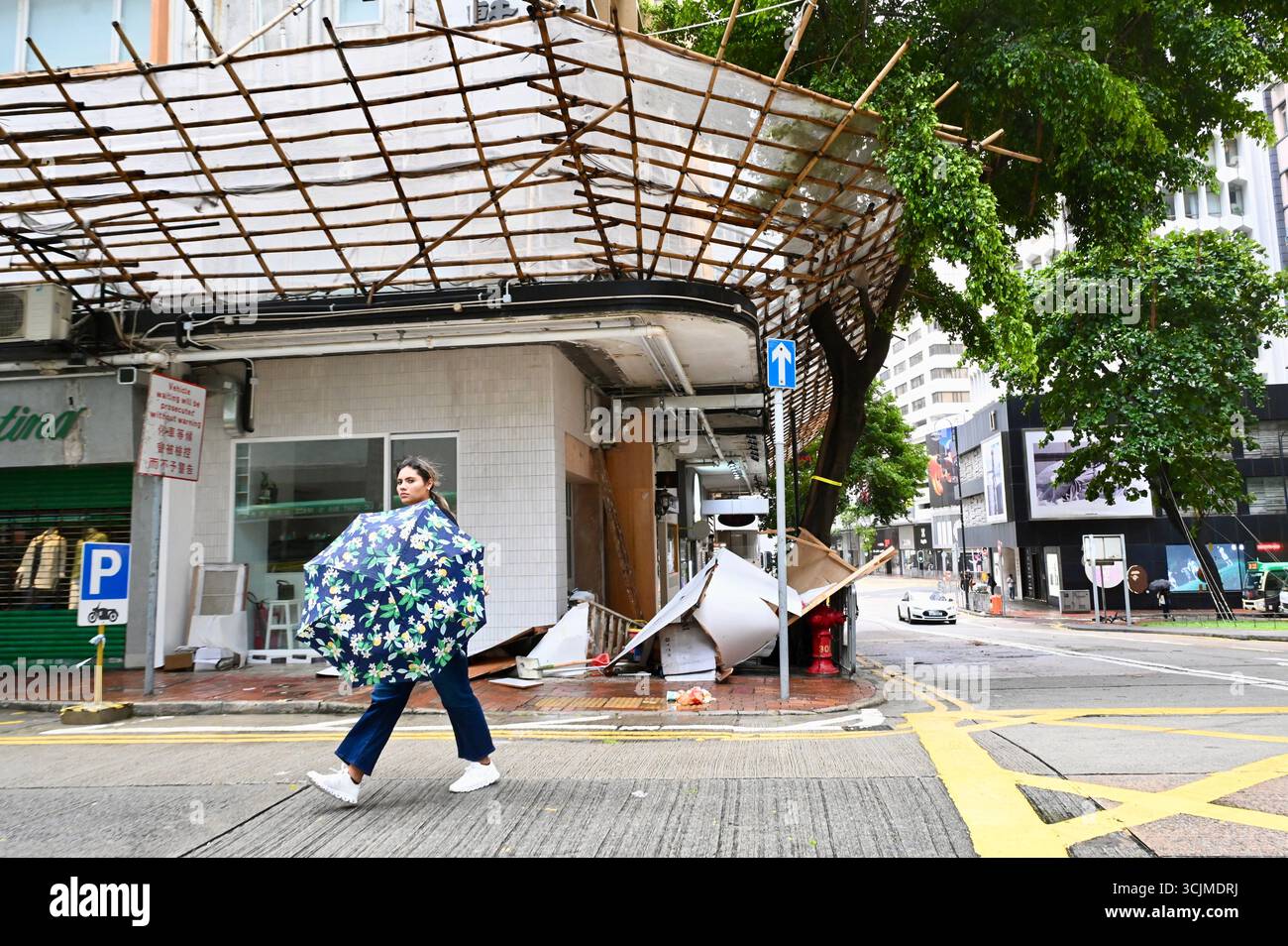 Hong Kong, Chine. 8 septembre 2025. Une dame marchant sur la route pendant le typhon Tapah le 8 septembre 2025 à Hong Kong. Le typhon Tapah a traversé Hong Kong aujourd'hui, l'observatoire de Hong Kong émettant le signal d'alerte au typhon no.8. (Crédit image : © Kobe Li/Nexpher images via ZUMA Press Wire) USAGE ÉDITORIAL SEULEMENT ! Non destiné à UN USAGE commercial ! Banque D'Images