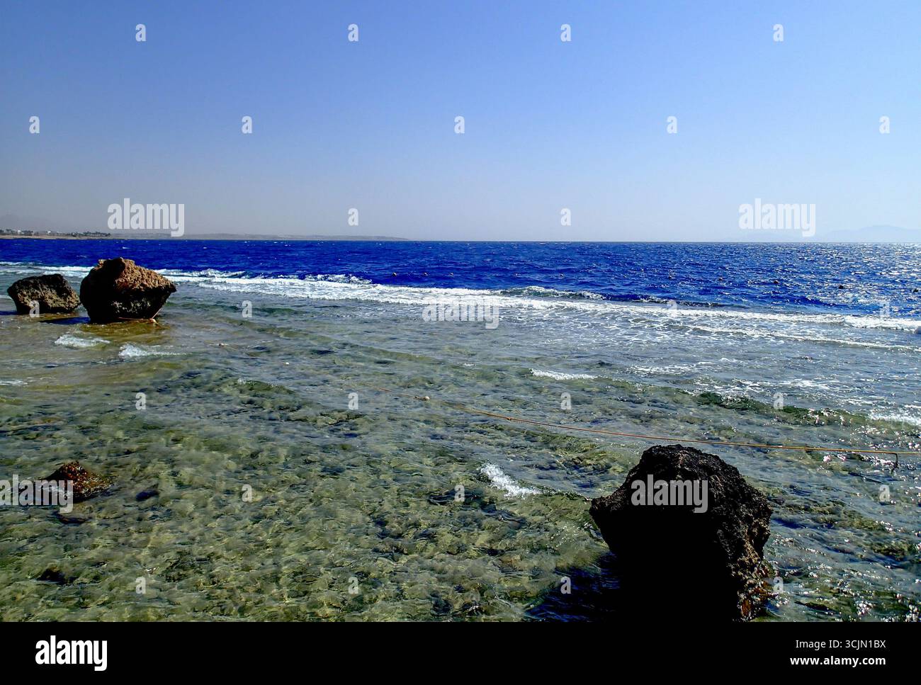 Vue panoramique sur le littoral de la mer Rouge avec des eaux claires peu profondes, des structures de récifs coralliens visibles et un horizon bleu profond sous un ciel lumineux. Banque D'Images