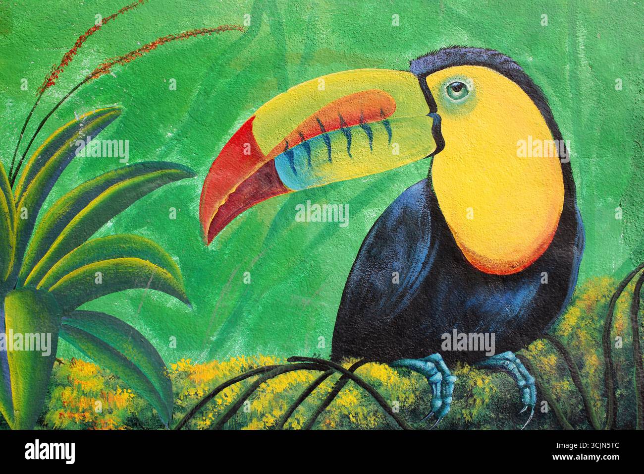 Keel-Billed Toucan peinture - l'oiseau national du Belize Banque D'Images