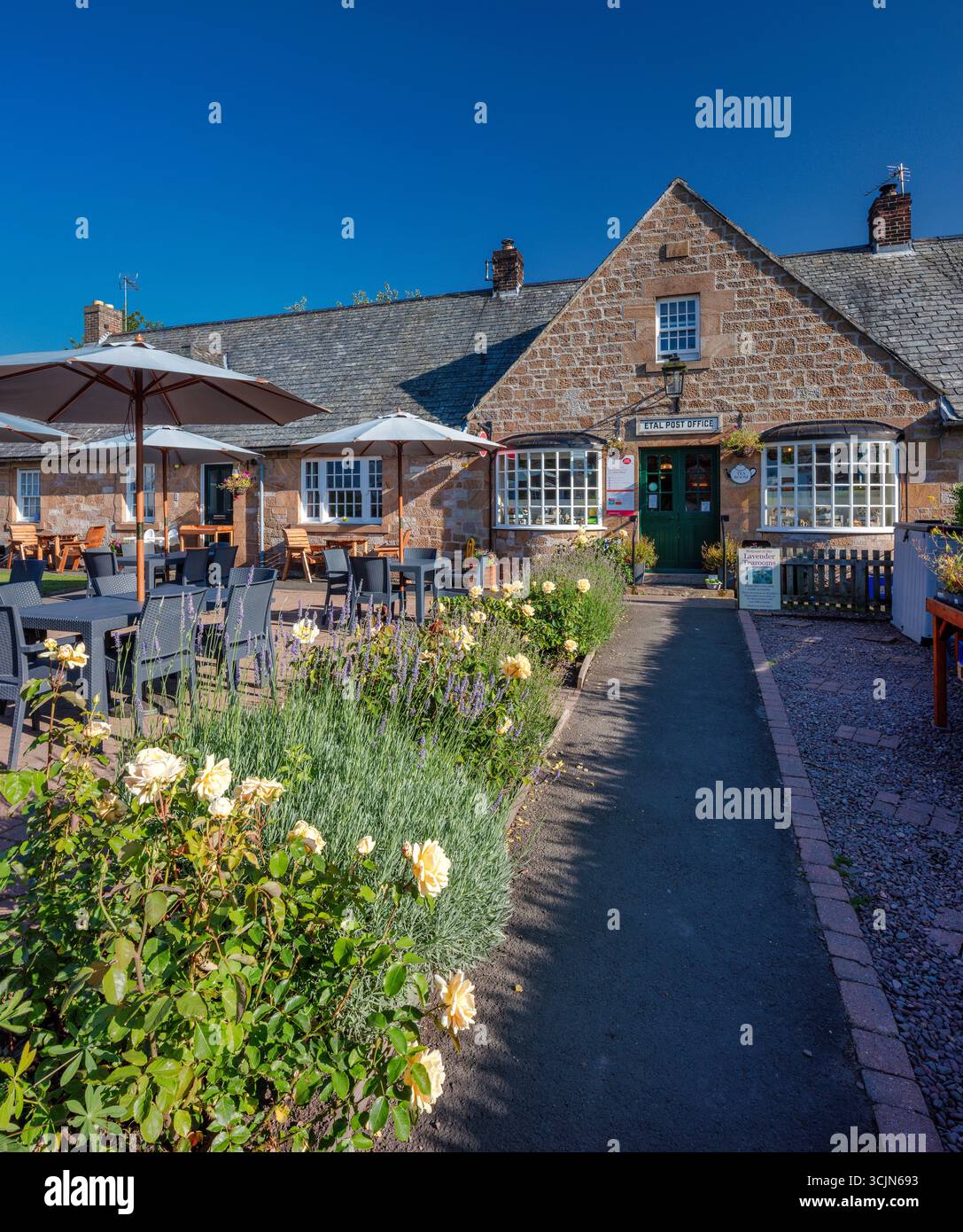 Une vue sur une journée ensoleillée en été des salons de thé Lavender dans le village d'Etal près de Berwick -upon-Tweed dans le Northumberland Banque D'Images
