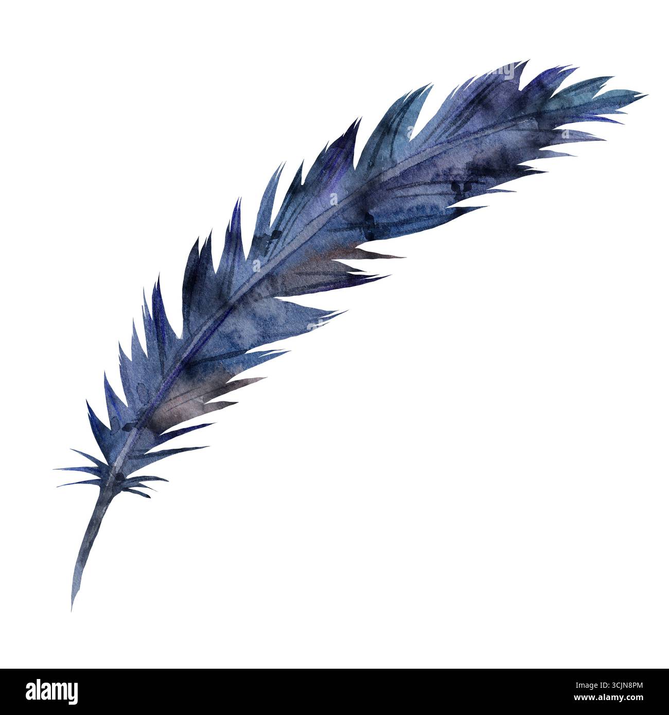 Aquarelle bleu et plume d'oiseau noir, dessinée à la main. Isolé sur fond blanc. Plume d'une pie, d'un corbeau ou d'un oiseau exotique Banque D'Images