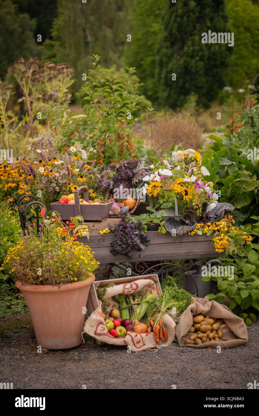 Un bel affichage de nature morte de récolte d'automne avec des fleurs fraîches, des fruits et des légumes d'un potager ou d'un lotissement. Banque D'Images