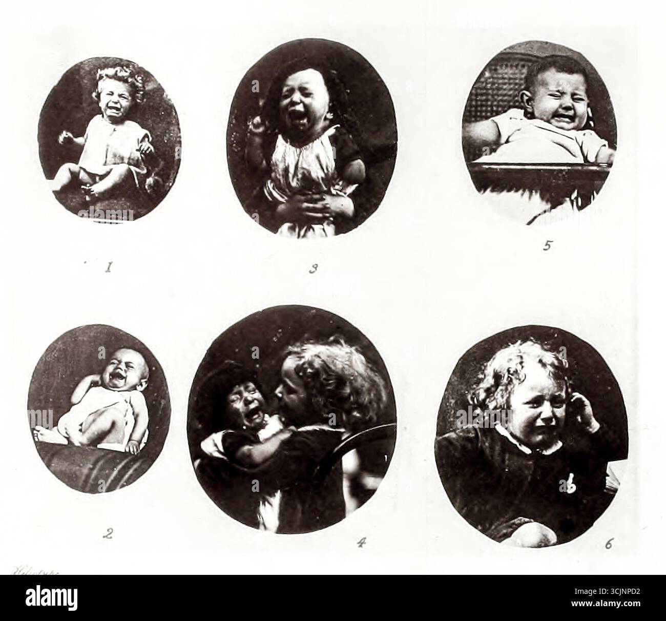 EXPRESSION DE LA SOUFFRANCE du livre ' L'expression des émotions chez l'homme et les animaux ' par Darwin, Charles, 1809-1882 date de publication 1873 Banque D'Images