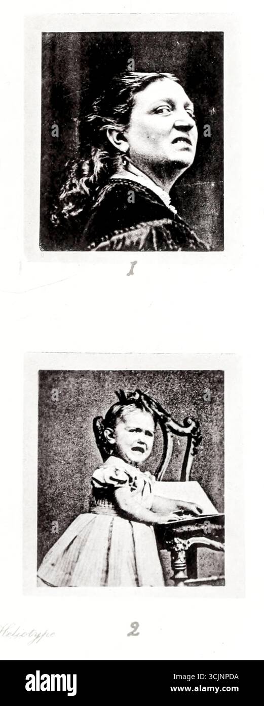 TERGIVERSATIONS ET DÉFIANCE. Extrait du livre ' L'expression des émotions chez l'homme et les animaux ' de Darwin, Charles, 1809-1882 date de publication 1873 Banque D'Images