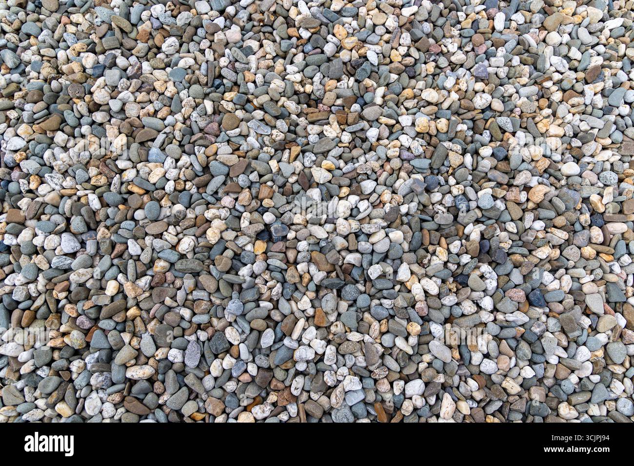 Fond multicolore Smooth River Pebbles. Une vue plein cadre d'une grande collection de petits galets lisses de rivière de différentes couleurs. Banque D'Images