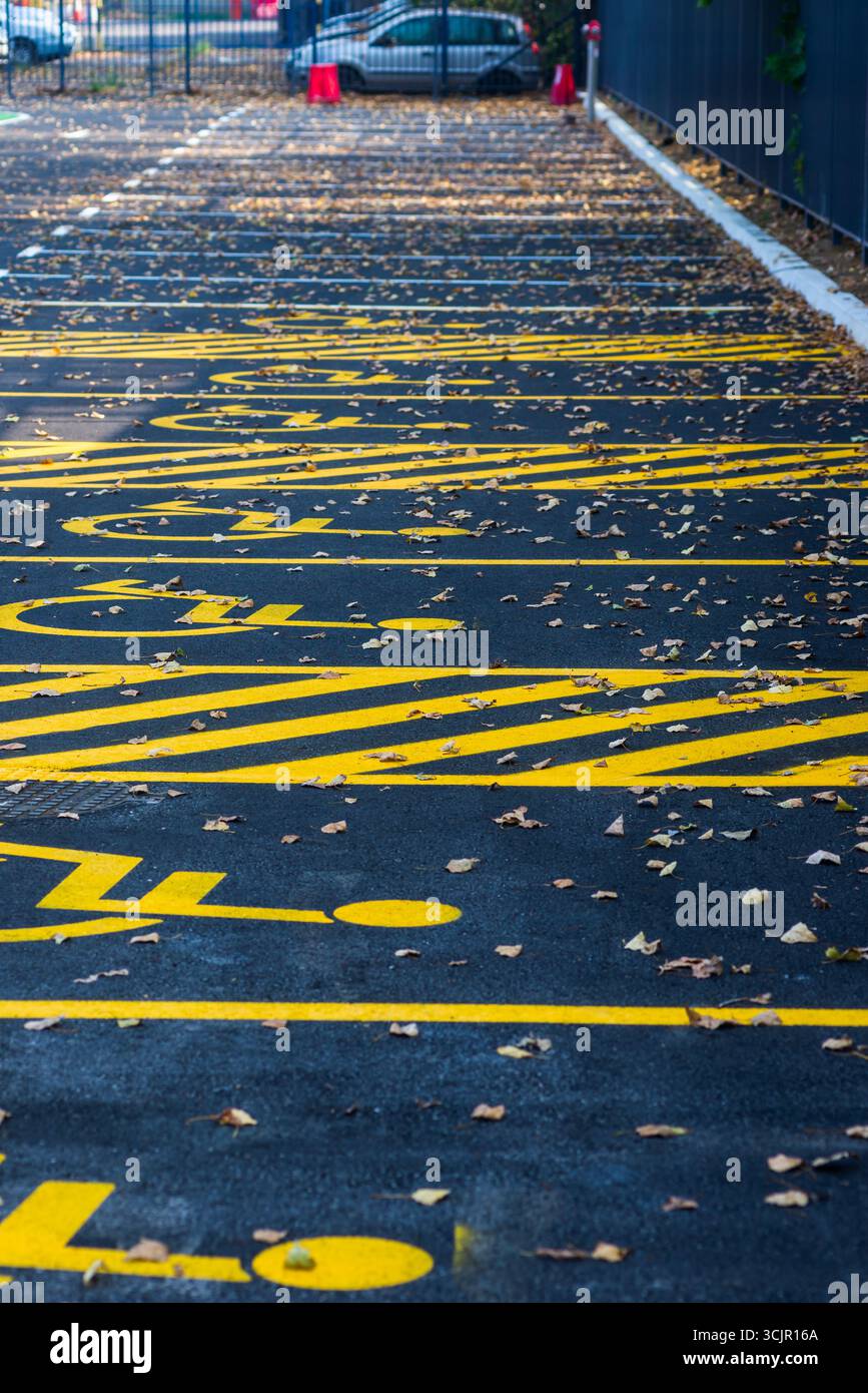 Des places de parking fraîchement peintes pour les personnes handicapées à Belgrade, Serbie, marquées de symboles jaune vif sur de l'asphalte foncé, parsemées de feuilles d'automne Banque D'Images